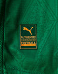 Jersey Puma Palmeiras 2025/26 Home Player Version