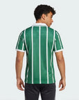 Retro Jersey Palmeiras 1993/94 Home