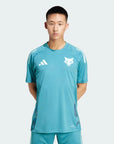 Jersey Training adidas Cruzeiro 2025/26