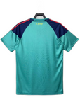 Retro Jersey Spain 2010 Goalkeeper