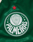 Jersey Puma Palmeiras 2025/26 Home Player Version