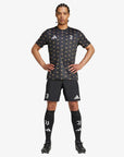 Jersey adidas Juventus FC 2024/25 Pre-Match