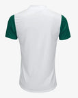 Jersey Puma Palmeiras 2025/26 Away Player Version