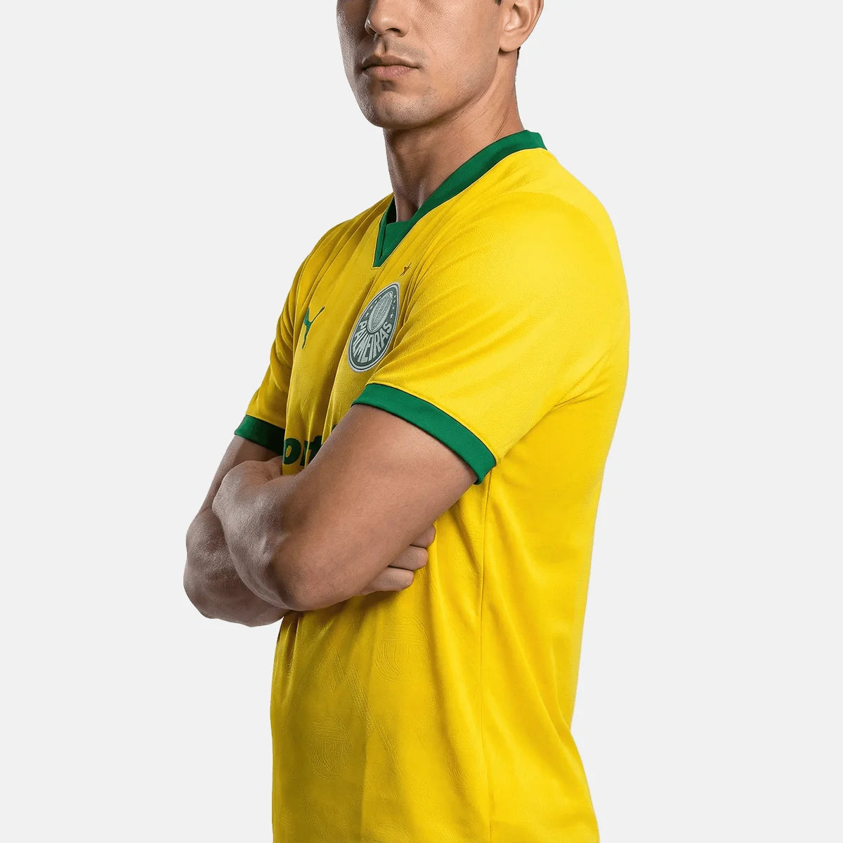Jersey Puma Palmeiras 2025/26 Third Fan Version