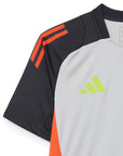 Benfica 2024/25 Grey Training Jersey