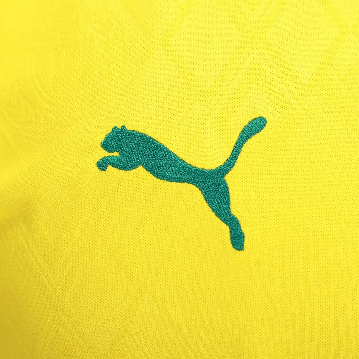 Jersey Puma Palmeiras 2025/26 Third Fan Version