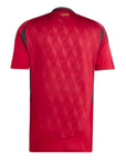 2024-2025 Belgium Home Shirt